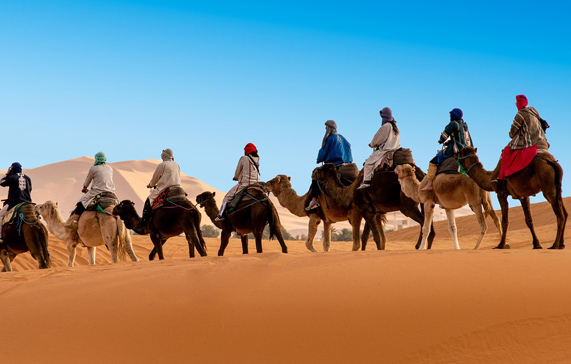 camel-tour-1_571x364